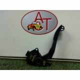 Gaspedalsensor Renault Master III (FV) Van 2.3 dCi 100 16V FWD (M9T-890) 2600