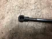 Gasdruckfeder Hinten 52240624 Fiat 500 (312) Schrägheck 1.2 69 (169.A.4000)