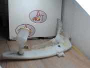 Scheibenwaschbehälter 5116148 Ford Transit Connect Van 1.8 Tddi (Euro 5))