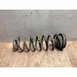 Spiralfeder Rechts Hinten 8200249829 Renault Megane II CC (EM) Cabrio 1.9 dCi 120 (F9Q-800) 2006