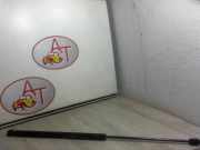 Gasdruckfeder Hinten 1683725 Ford C-Max (DM2) Großraumlimousine 1.8 TDCi 16V (KKDB)