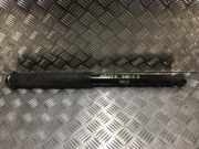 Stoßdämpfer Links Hinten 485300D450 Toyota Yaris II (P9) Schrägheck 1.4 D-4D (1NDTV)