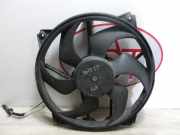 Kühlerlüfter Peugeot 607 (9D/U) Limousine 2.9 V6 24V (ES9J4S(XFX))