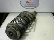 Federbein Rechts Vorne 00005202EN Citroën ZX Schrägheck 1.9 D Reflex,Avantage (XUD9A(DJY))