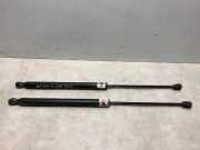 Gasdruckfeder Hinten 1757865 Ford B-Max (JK8) Großraumlimousine 1.0 EcoBoost 12V 100 (SFJB)