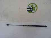 Gasdruckfeder Hinten 8731J3 Peugeot 1007 (KM) Schrägheck 3-drs 1.4 HDI (DV4TD(8HZ))