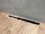 Gasdruckfeder Hinten 51248254281 BMW 3 serie (E46/4) Limousine 320d 16V (M47-D20(204D1))
