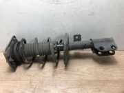 Federbein Rechts Vorne 9821596680 Citroën Jumpy