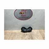 Kennzeichenbeleuchtung LINKS Renault Megane II (BM/CM) Schrägheck 1.9 dCi 120 (F9Q-800) 2005