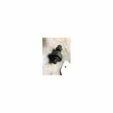 Drucksensor AIRCO 8871940020 Toyota Avensis (T25/B1D) Liftback 2.0 16V D-4D (1CD-FTV) 2003