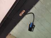 Heckscheibe C 51317388750 BMW 5 serie (G30) Limousine 530e iPerformance (B48-B20A)