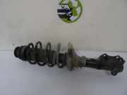 Federbein Rechts Vorne 6N0413031K Volkswagen Polo III (6N1) Schrägheck 1.4i 60 (AEX) AEX