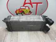 Ladeluftk?hler 00000384N9 Citro?n BERLINGO 2 PHASE 1