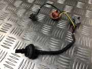 Kennzeichenbeleuchtung LINKS Kia Picanto (JA) Schrägheck 1.0 12V (G3LA)