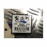 Antenne 1698129880 Peugeot 2008 (UD/UK/UR/US/UX) Großraumlimousine 1.5 BlueHDi 100 (DV5RD(YHY)) 2021