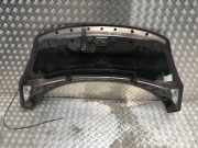 Motorhaube 651008842R Renault Grand Scénic III (JZ) Großraumlimousine 1.9 dCi 130 FAP (F9Q-872(F9Q-P8))