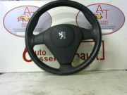 Lenker 4109KL Peugeot 1007 (KM)