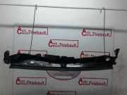 Scheibenwischer Abdeckung 668119050R Dacia Lodgy (JS/SD0J) Großraumlimousine 1.5 dCi FAP (K9K-846(K9K-R8))