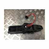 Kennzeichenbeleuchtung RECHTS Renault Scénic II (JM) Großraumlimousine 1.5 dCi 105 (K9K-732) 2005