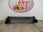 Ladeluftkühler 17517600530 BMW 1 serie (F20) Schrägheck 5-drs 116d 1.5 12V TwinPower (B37-D15A)