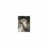 Stoßstangeneckelinks Hinten 90688010719678 Mercedes-Benz Sprinter 3,5t (906.13/906.23) Ch.Cab/Pick-up 313 CDI 16V (Euro 6)) 2010
