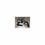 Sicherheitsgurt Links Hinten Volkswagen Eos (1F7/F8) Cabrio 2.0 TDI DPF (BMM) 2007 BMM