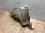 Ausgleichbehälter 217100014R Renault Laguna III Estate (KT) Kombi 5-drs 2.0 dCi 16V 150 (M9R-742)