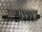 Federbein Rechts Vorne 6Q0413031BJ Skoda Fabia II (5J) Schrägheck 5-drs 1.2i 12V (CGPB)