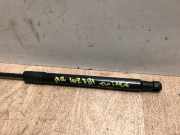 Gasdruckfeder Hinten 8200385560 Renault Twingo II (CN) Schrägheck 3-drs 1.2 16V (D4F-772)