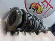 Federbein Links Vorne 31316782207 Mini Mini (R56) Schrägheck 1.6 16V One (N16-B16A)