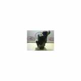 Servolenkung Pumpe 491102118R Renault Laguna III (BT) Schrägheck 5-drs 1.5 dCi 110 (K9K-780) 2011