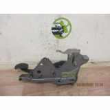 Bremspedal 8200740595 Renault Clio III (BR/CR) Schrägheck 1.5 dCi 75 FAP (K9K-770(K9K-67)) 2013