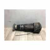 Stoßdämpfer Links Hinten Citroën C4 Picasso (UD/UE/UF) Großraumlimousine 2.0 HDiF 16V 135 (DW10BTED4(RHJ)) 2007