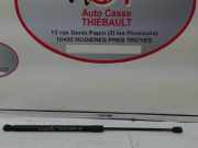 Gasdruckfeder Hinten 1666068 Ford Fiesta 6 (JA8) Schrägheck 1.25 16V (SNJB)