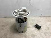 Kraftstoffpumpe DOMPELPOMP 172026203R Renault Scénic IV (RFAJ) Großraumlimousine 1.2 TCE 115 16V (H5F-408(H5F-F4))