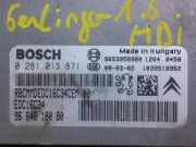 Motorsteuergerät 1943J3 Citroën BERLINGO 2 PHASE 1