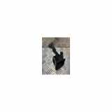 Hupe 9827213580 Peugeot 2008 (UD/UK/UR/US/UX) Großraumlimousine 1.5 BlueHDi 100 (DV5RD(YHY)) 2021