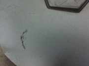 Nabenabdeckung Renault Scénic I (JA) -> 1999, Zie MEGANE Großraumlimousine 1.9 dCi (F9Q-732)