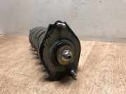 Stoßdämpfer Links Hinten 4853009K60 Toyota Corolla Verso (R10/11) Großraumlimousine 2.0 D-4D 16V (1CD-FTV)