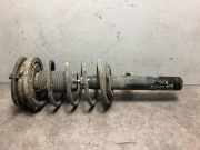 Federbein Links Vorne 5202X8 Peugeot 406 Coupé (8C) Coupé 2.2 16V (EW12J4(3FZ))