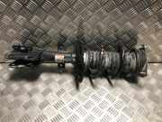 Stoßdämpfer Links Hinten 562108661R Renault Megane E-Tech (RCB) SUV 60 kWh (6AM-402)