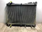 Radiator 1770067J00 Suzuki Grand Vitara II (JT) SUV 1.9 DDiS (F9Q)