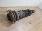 Federbein Links Vorne DC3534900 Mazda Demio (DW) Großraumlimousine 1.3 16V (B3)