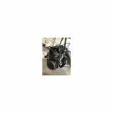 Motor Hyundai I 10 1 PHASE 1 1.1 CRDI - 12V TURBO