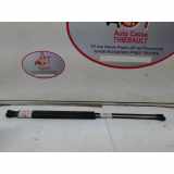 Gasdruckfeder Hinten Renault 5 Super (B/C40) Schrägheck 1.1 (C1E-760) 2700