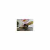 Achsschenkel Links Vorne 364693 Peugeot Expert Tepee (G9) Großraumlimousine 1.6 HDi 16V 90 (DV6UTED4(9HU)) 2012