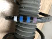 Federbein Links Vorne 9821596680 Citroën Jumpy