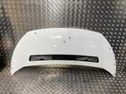 Motorhaube 1440223388 Fiat Scudo (270) Van 2.0 D Multijet (DW10UTED4(RHK))