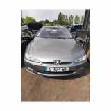 Stoßdämpfer Links Hinten 5206S3 Peugeot 406 Coupé (8C) Coupé 2.2 16V (EW12J4(3FZ)) 2002
