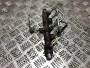 Einspritzdüsen Düsenstock 9821399680 Opel Corsa F (UB/UH/UP) Schrägheck 5-drs 1.5 CDTI 100 (D15DT(DV5RD))